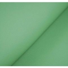 Cuero Epsom Mint Green
